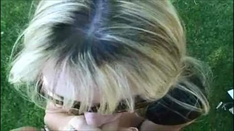 12048